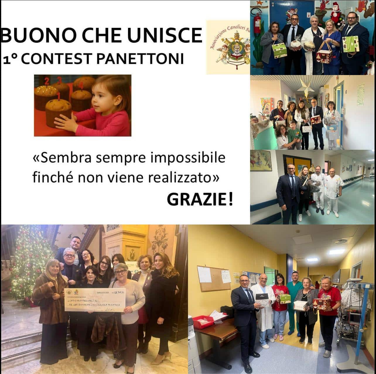 Al momento stai visualizzando l’attività benefica dell’Associazione Cavalieri di San Silvestro a sostegno della sanità pediatrica calabrese